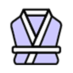icon 2